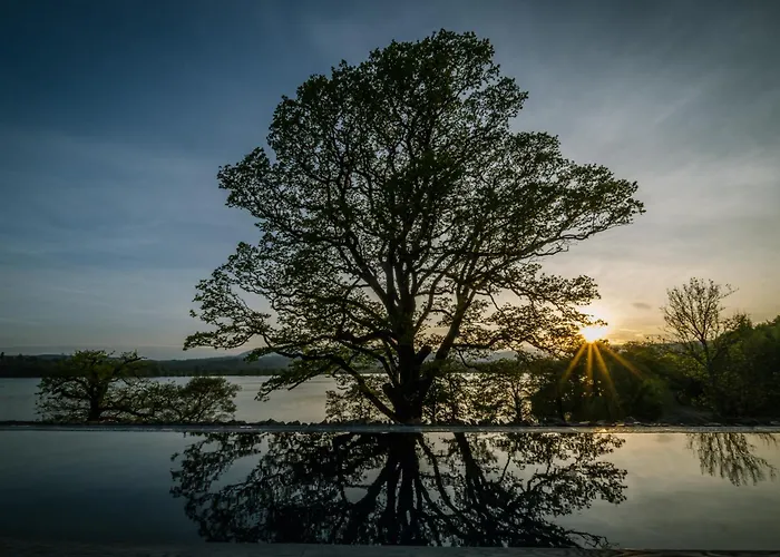 لو وود باي 4* ويندرمير